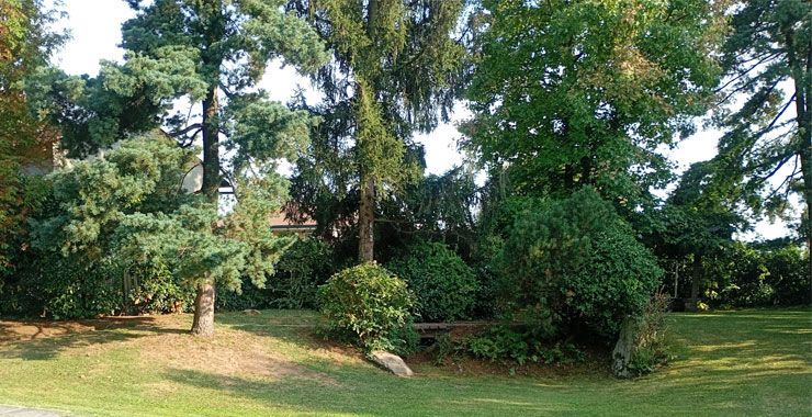 Gestione del verde e rifiniture siepi a Gallarate