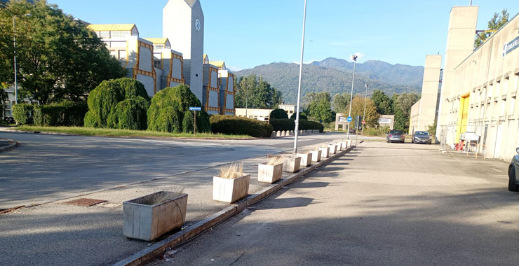 Potatura piante e alberature in abitazione privata a Gallarate