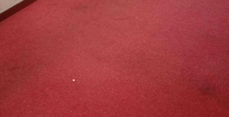 Pulizia e smacchiatura moquette di un albergo