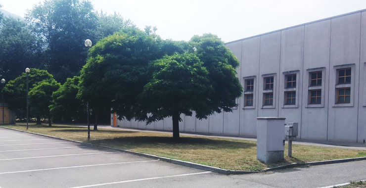 Sanificazione aree di lavoro e pertinenze verdi a Verbania