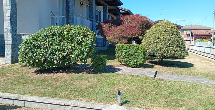 Taglio erba e rifiniture bordi in giardino ad Arona