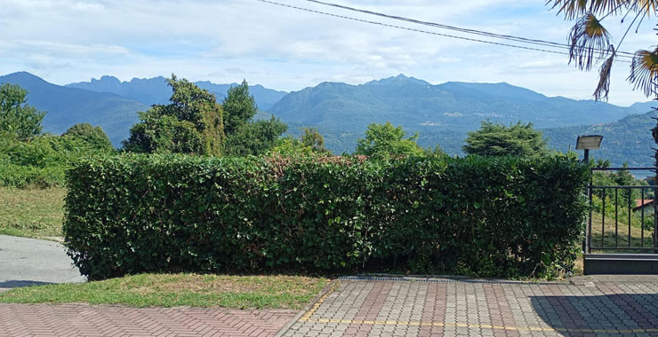 Taglio siepi e manutenzione giardino privato a Gallarate